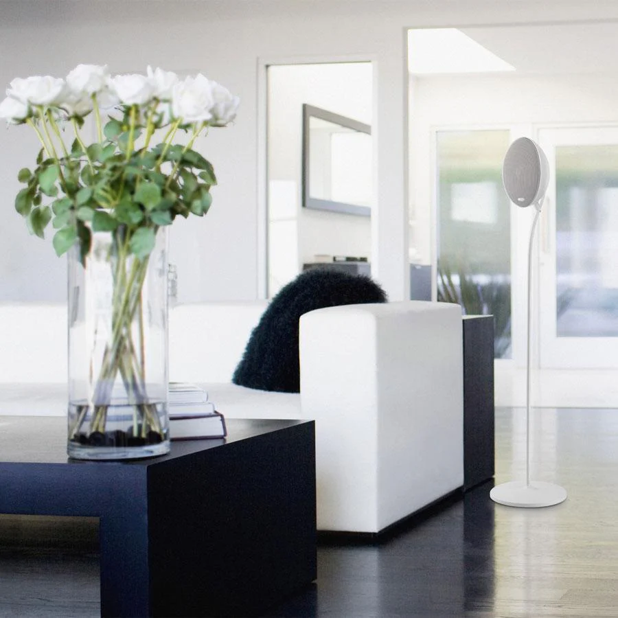 E301 Floor Stand - Image 5
